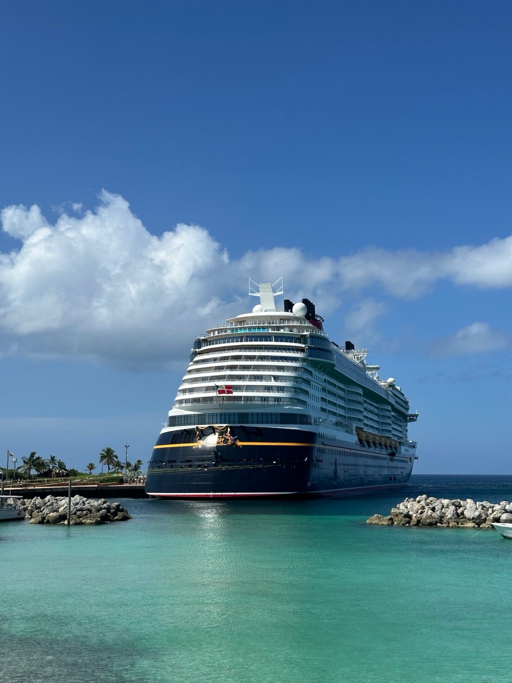 Amazon Cruise Ship Essentials: Must- Haves for Travel at Sea